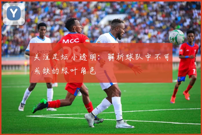 关注足坛小透明:解析球队中不可或缺的绿叶角色