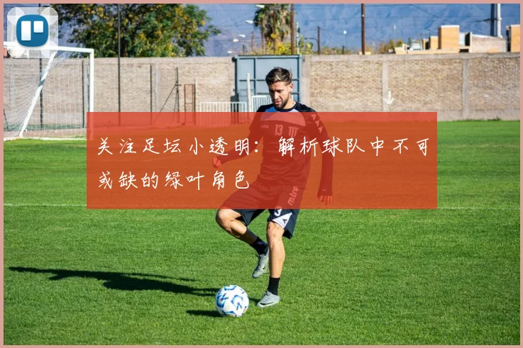 关注足坛小透明:解析球队中不可或缺的绿叶角色